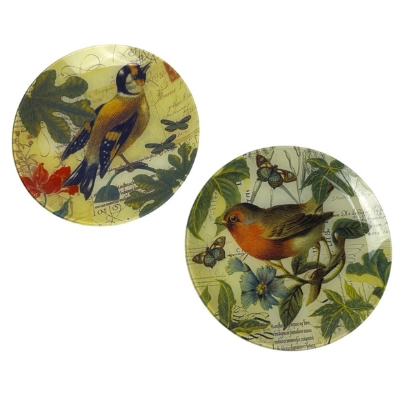 2 DECOUPAGE Dinner Plates RAZ 8.5” Autumn Birds Robin Finch? Yellow Decorative - Picture 8 of 8